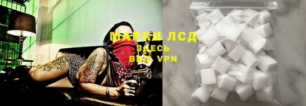 соль ск Нея