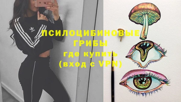 трава Нефтекумск