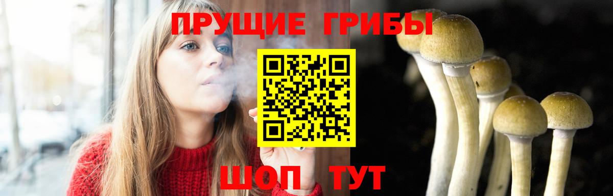 наркошоп  Кондопога  Галлюциногенные грибы Magic Shrooms 