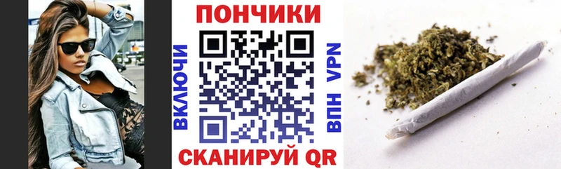 OMG ССЫЛКА  Кондопога  Марихуана сатива  дарнет шоп 
